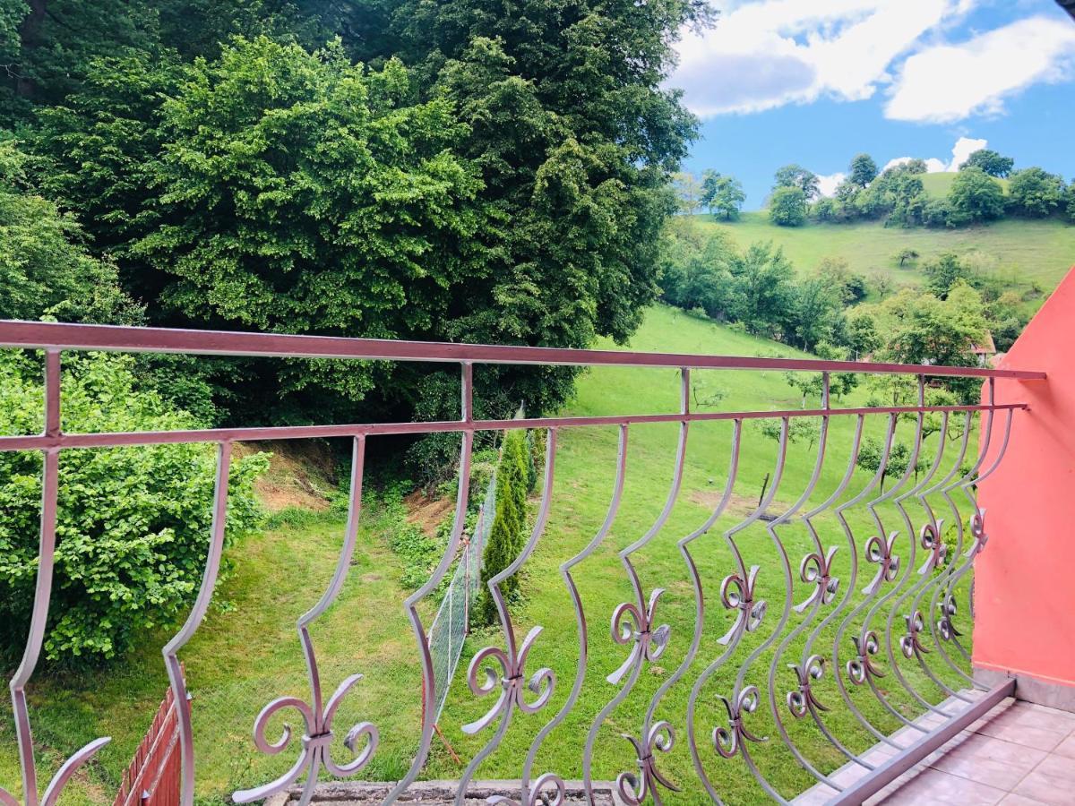 Hotel Poenita Сигишоара Екстериор снимка